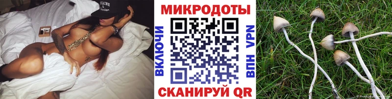Псилоцибиновые грибы Psilocybine cubensis  Купить  Вольск 